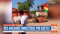 Dos ancianos fueron embestidos por bueyes