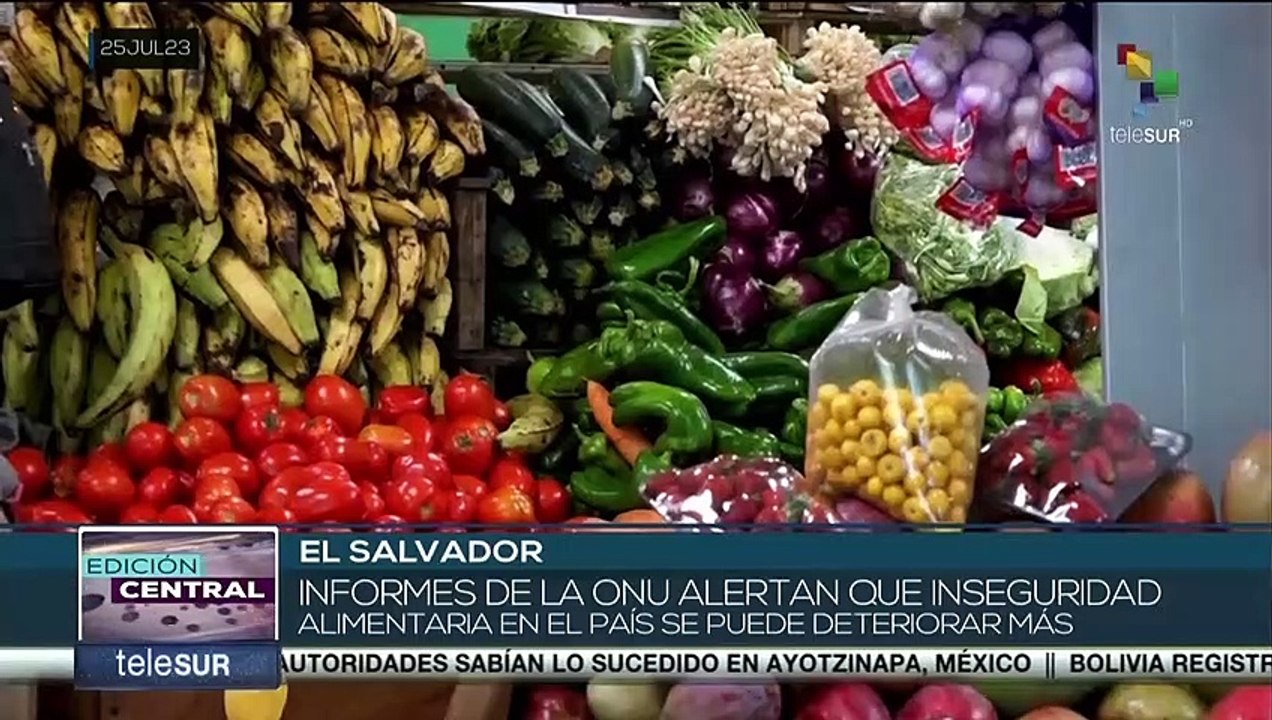 Informes de la ONU alertan que Inseguridad Alimentaria puede aumentar en El Salvador