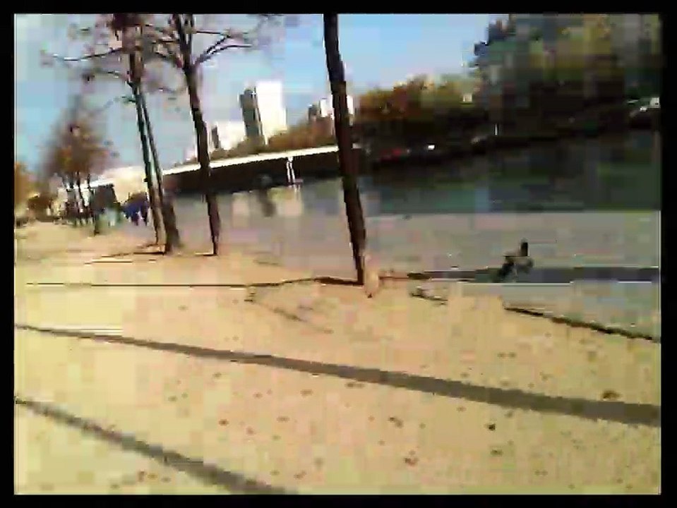 Le plongeon