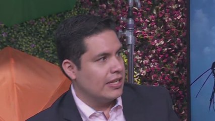 Cuida a los niños en vacaciones: los sí y los no para mantener su salud