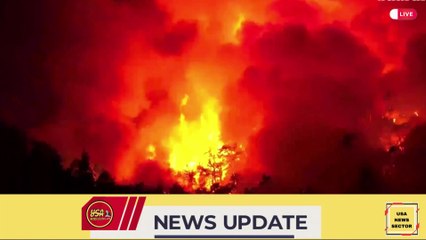 Turkey wildfires rage overnight close to resort of Kemer