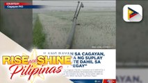 Ilang bayan sa Cagayan, nawalan ng supply ng kuryente dahil sa bagyong #EgayPH