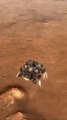 4K MARS Landing NASA's 2020 Perseverance Rover