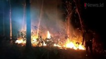 Hutan Jati Seluas 5 Hektare di Tuban Hangus Terbakar