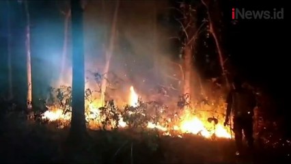 Hutan Jati Seluas 5 Hektare di Tuban Hangus Terbakar