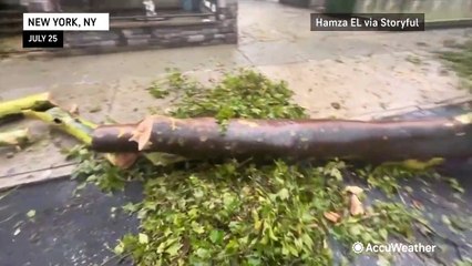 Descargar video: Thunderstorms rumble across the Northeast