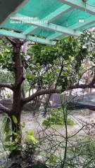 Wrath of Super Typhoon #EgayPH in Laoag City, Ilocos Norte