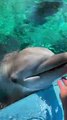Dolphin Tickles And Giggles