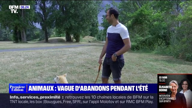 Vacances: une plateforme solidaire pour faire garder ses animaux