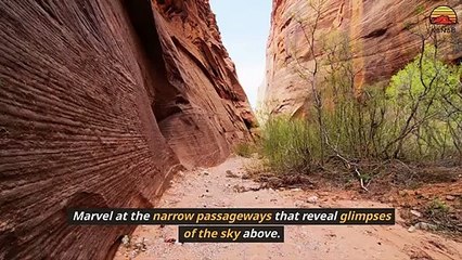 Exploring the Enchanting Depths A Journey through Peekaboo Slot Canyon Off-road Tour