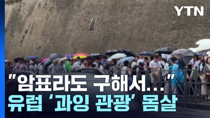 [더뉴스] 관광객 폭증에 몸살 앓는 유럽..."그래도 떠난다" / YTN