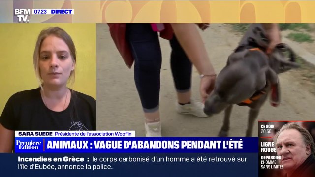 Selon Sara Suede (association Woof'in), on peut monter à 10 abandons d'animaux par jour pendant l'été , contre 4 le reste de l'année