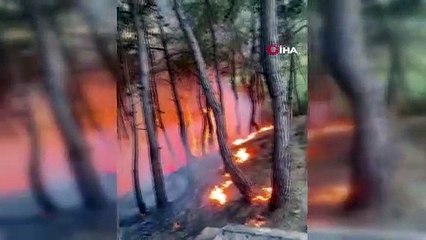 Yangın söndürüldü, vatandaş piknikçilere tepki gösterdi