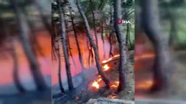 Yangın söndürüldü, vatandaş piknikçilere tepki gösterdi