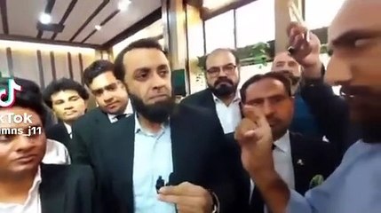 mr dentonic atta tarar pmln