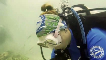 La temperatura del mar en Florida alcanza un posible récord de calor