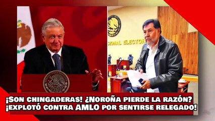 ¡VEAN! ¡Son chingaderas! Noroña pierde la razón ¡explotó contra AMLO por sentirse relegado!