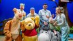 Winnie the Pooh at Princess Theatre | The Examiner
