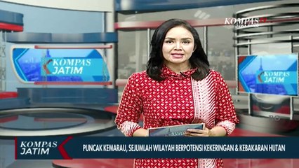 Puncak Kemarau, Sejumlah Wilayah di Kabupaten Madiun Berpotensi Kekeringan & Kebakaran Hutan!