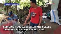 Kisah Sukses Pria di Semarang Raup Cuan Jutaan Rupiah dari Budi Daya Kelinci