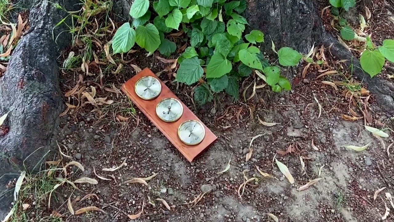 Votre ville est-elle verte ? Rzeszów en Pologne s'adapte au changement climatique