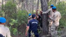 Akbelen'deki direniş devam ediyor: Jandarma köylülere müdahale etti