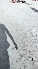 Miracle garden Dubai visit