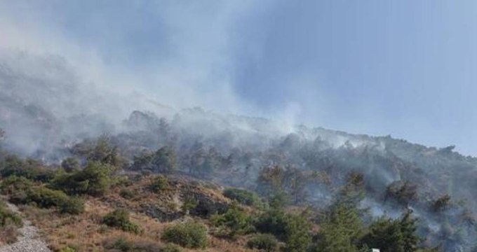Aydın'ın Söke ilçesinde orman yangını çıktı