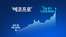 황제주 등극한 '에코프로'...어떻게 권좌에 올랐나? [앵커리포트] / YTN