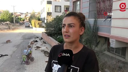 Enkaz kentin kedilerinin Gürcü annesi