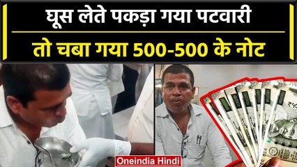 Katni में Lokayukta ने रिश्वत लेते Patwari को पकड़ा, बचने के लिए चबा गया 500 के Note |वनइंडिया हिंदी