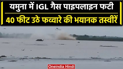 Yamuna River में IGL Gas Pipeline फटने के बाद  भयंकर मंजर, अलर्ट जारी | वनइंडिया हिंदी #Shorts