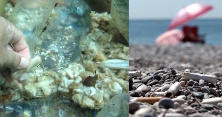 Zararı içtikten sonra da bitmiyor: İzmarit yığınları denizin içinde böyle görüntülendi