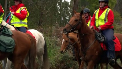 Tasmanian police conduct large search for Shyanne-Lee Tatnell