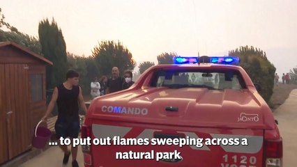 Mediterranean wildfires: At least 40 killed as blazes continue to spread in Portugal and Spain