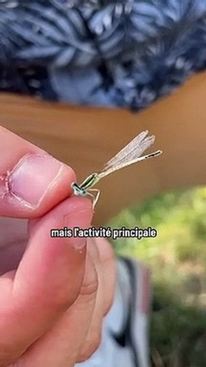 Que font deux profs de Physique Chimie en vacances ? Cela va résonner comme une évidence quand tu auras vu la réponse #vacances #prof ️ En attendant dis le nous en com.