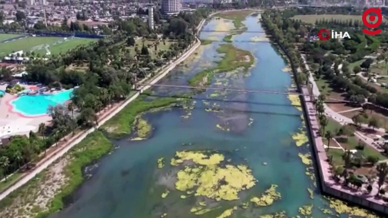 Seyhan Nehri can çekişiyor: Yosunlar nehri istila etti, otlar insan boyuna yaklaştı