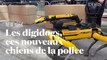 La police de New York patrouille avec les chiens robots de Boston Dynamics