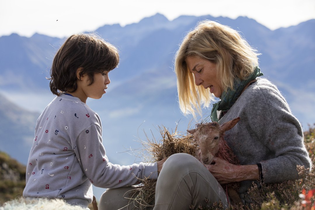 Belle et Sébastien : nouvelle génération