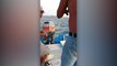 Heroic Rescuers Sail Out to Save Puppy Caught in Rip Tide | Wild-ish TV