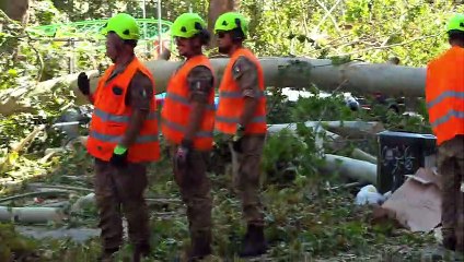 Maltempo a Milano, anche l'esercito per liberare le strade