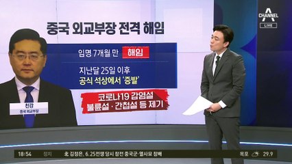 ‘잠적’ 中 외교 수장 해임…‘은여우’ 왕이 돌아왔다