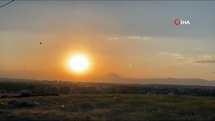 Ağrı Dağı eteklerindeki meyve bahçesi ilgi odağı oluyor