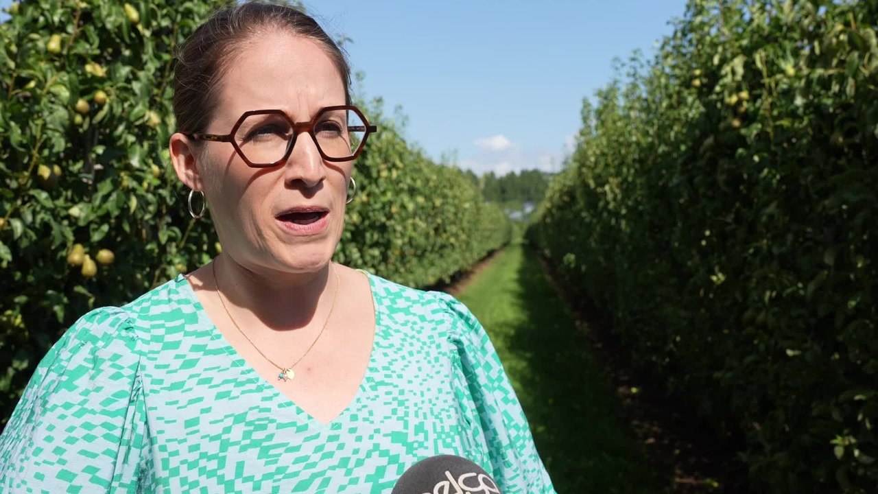 Nicole De Moor, Secrétaire d'État à l'Asile et la Migration : "Des travailleurs saisonniers peuvent travailler dans l'horticulture jusqu'à 100 jours, dépassant ainsi cette période de trois mois"