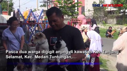 Vaksin Gratis Ratusan Anjing dan Kucing di Medan