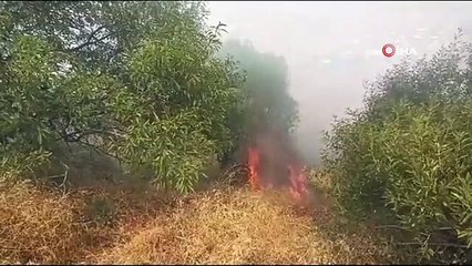Hıdırlık Tepesi mevkiinde orman yangını