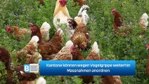 Kantone können wegen Vogelgrippe weiterhin Massnahmen anordnen