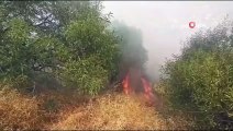 Hıdırlık Tepesi mevkiinde orman yangını