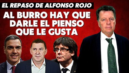 Alfonso Rojo: “Al burro hay que darle el pienso que le gusta”