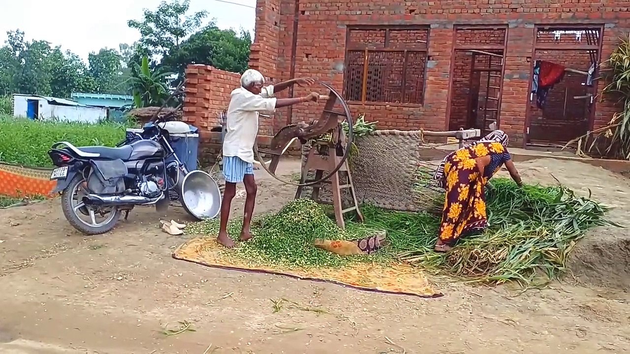 India Uttar pradesh Rural Life Nature Life In India Village Life,,Village Rural India